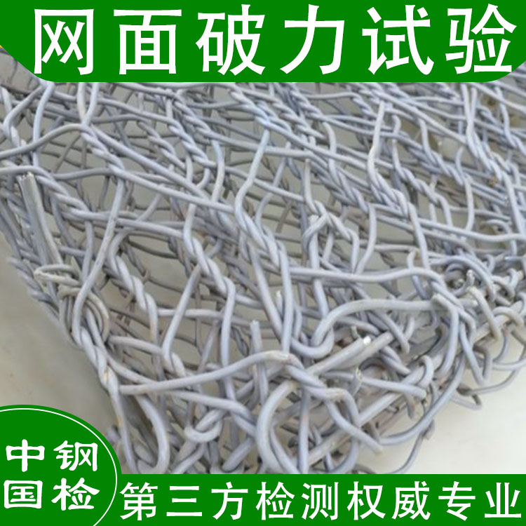 廣西中鐵十局柔性防護網(wǎng)檢測成功案例